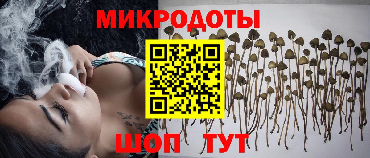 Псилоцибиновые грибы MAGIC MUSHROOMS Сургут